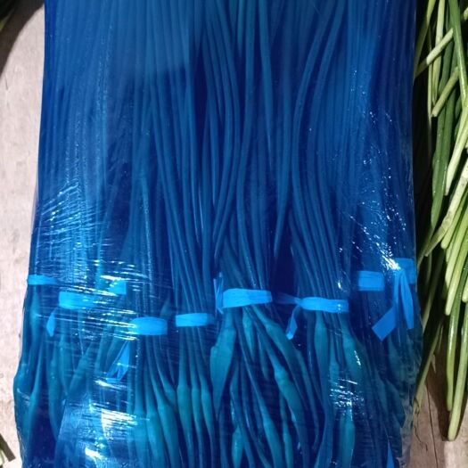 邯郸白帽蒜薹