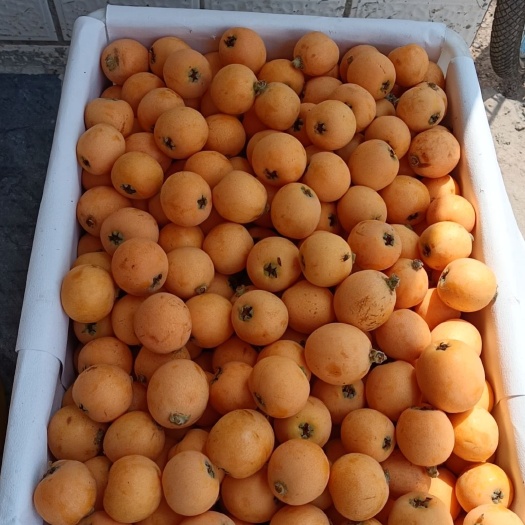 成都新鲜季节性水果