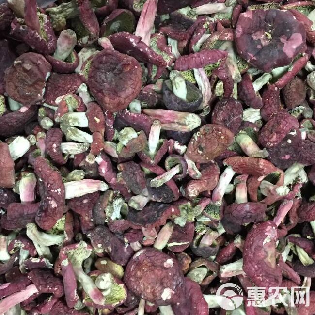 野生红菇批发 产地直销干货土特产大红菌正红蘑菇食用菌滋补品