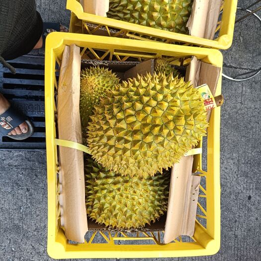 广州泰国越南榴莲