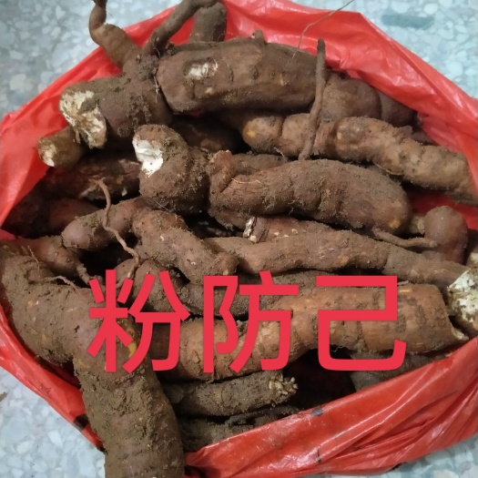 粉防己正品中药材（土木香）现挖新鲜出炉长年有货