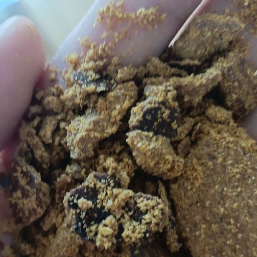 石家庄玉米油饼玉米油饼 蛋白10 脂肪12