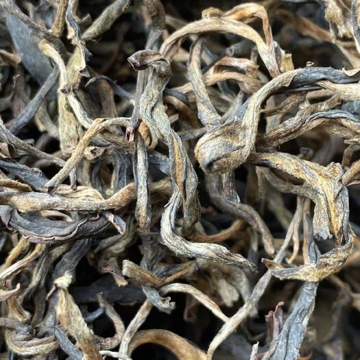 江城县滋养好茶，有好的气候，必有优质的好茶。