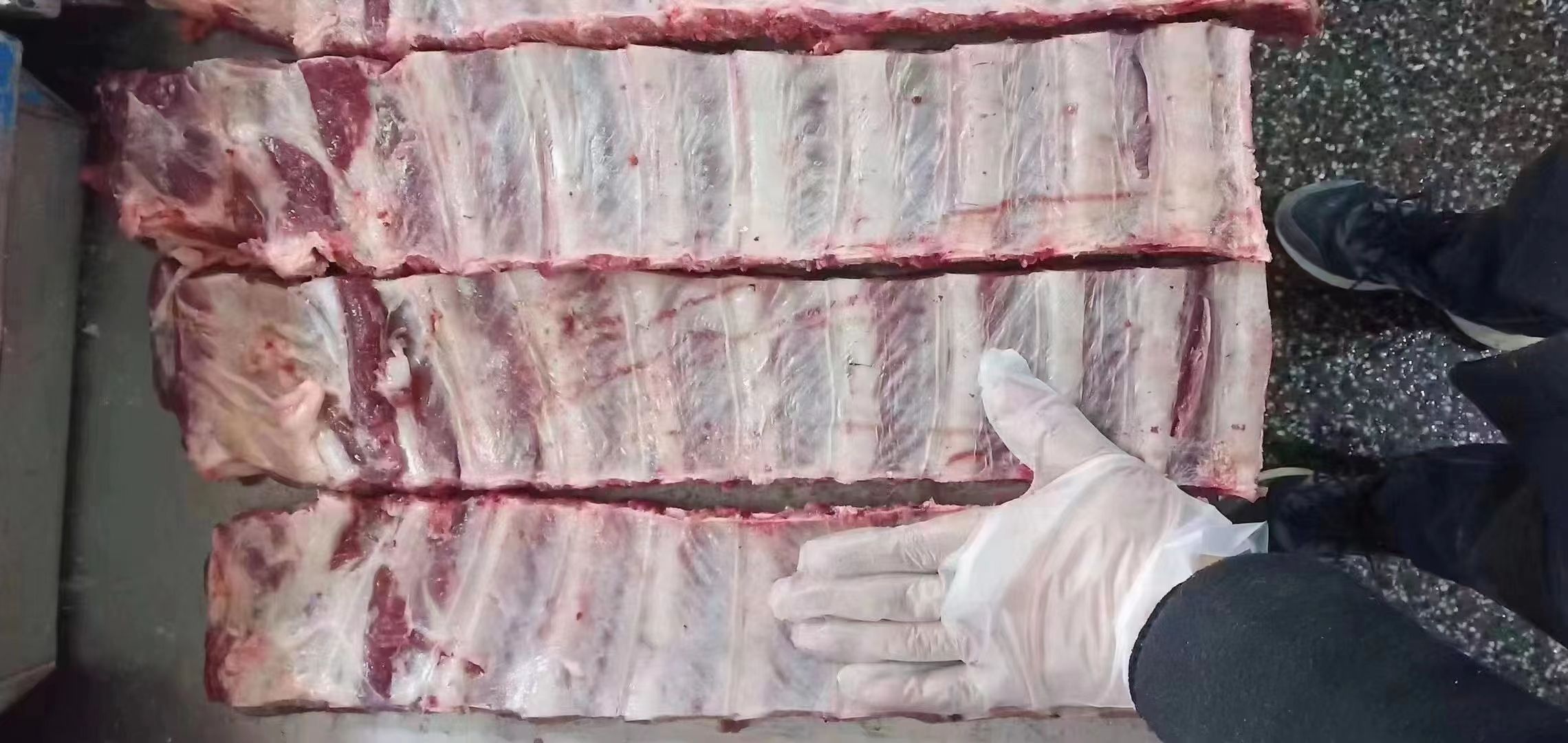 母猪寸排