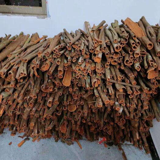 梧州桂皮 自己家的桂皮 量大价优