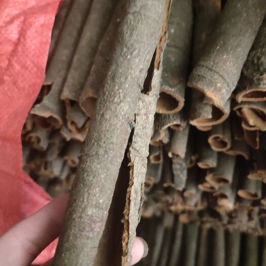肇庆桂皮