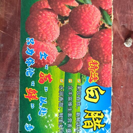高州市白蜡