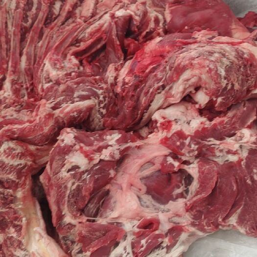 定州市精修全羊板肉