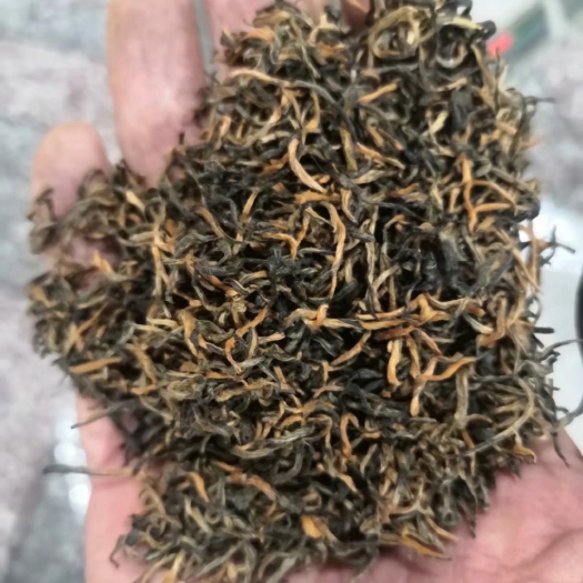 贵定县云雾红茶