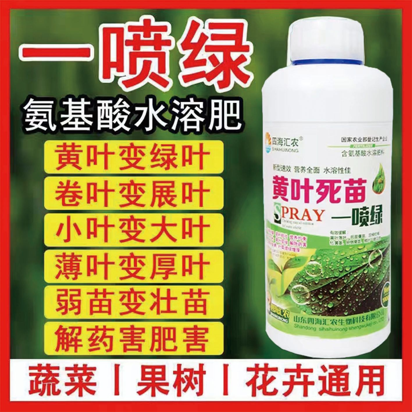 陆丰市一喷绿，叶片浓绿，小叶变大，黄叶变绿，弱苗变壮，防小叶黄叶。