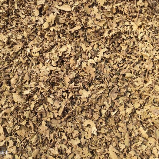 香茶菜（铁棱角，蛇总管）