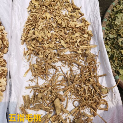 肇庆五指毛桃