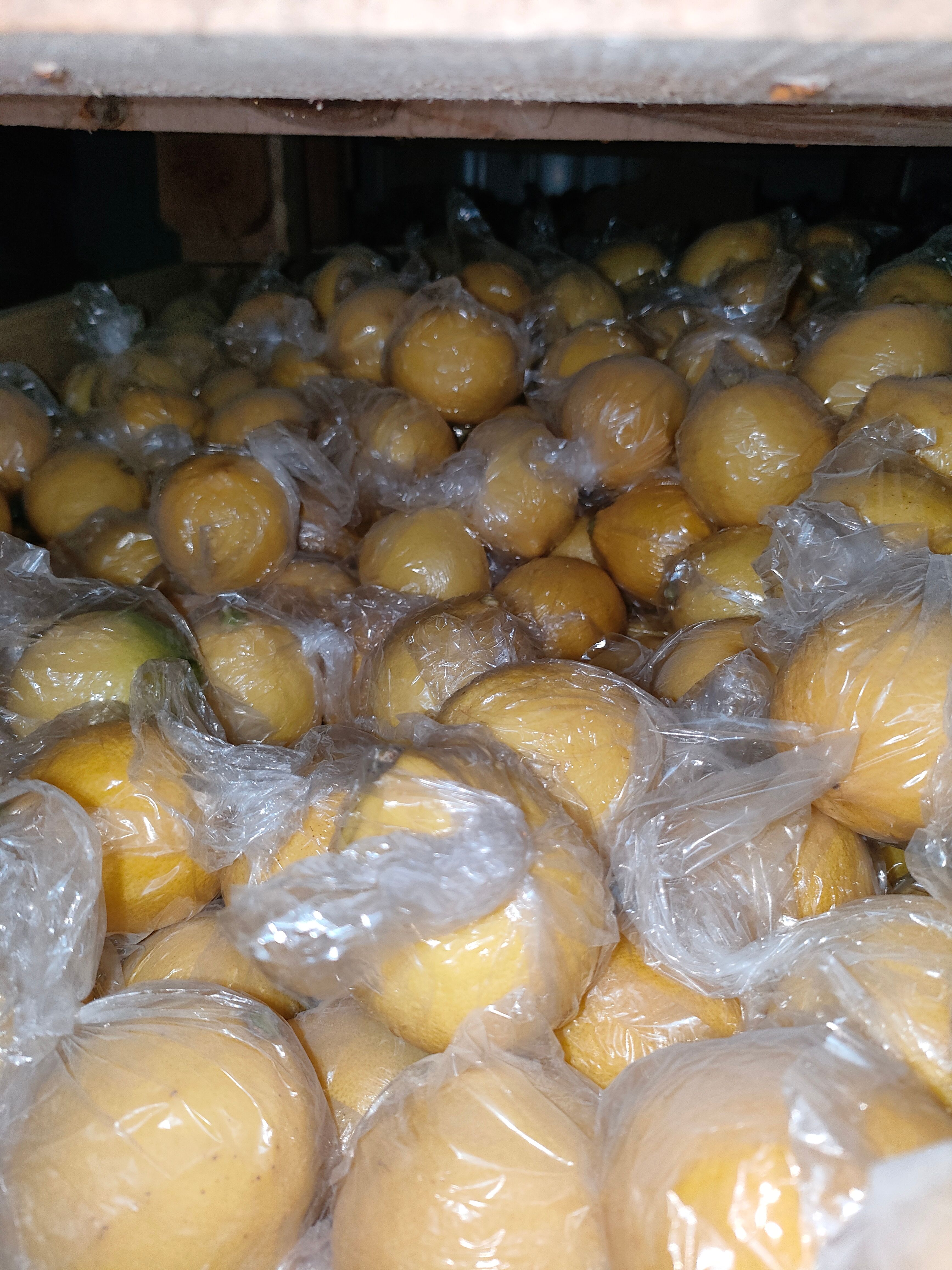 尤力克柠檬 四川省资阳市安岳县 有籽