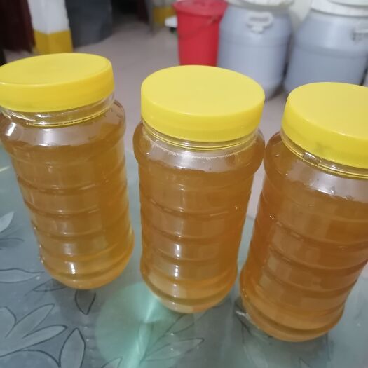 漳州荔枝蜜