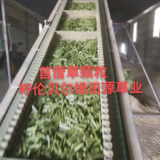 鄂温克旗苜蓿草颗粒苜蓿草粉