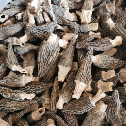 正定县羊肚菌 干货
