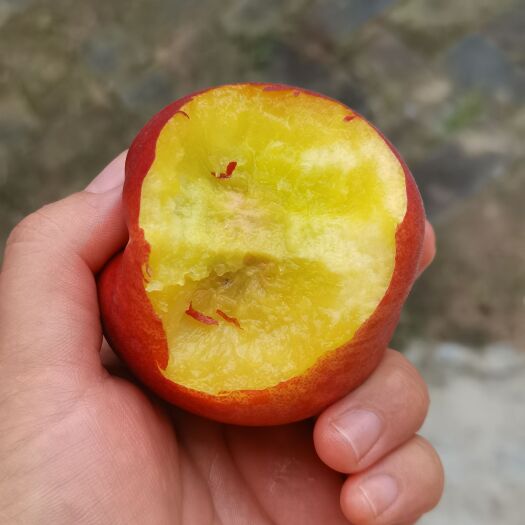 枣阳市黄金蜜水蜜桃
