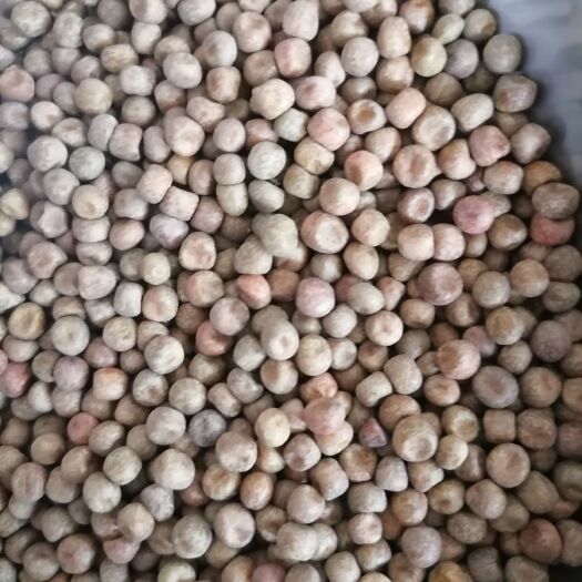 新货干豌豆麻豌豆水培发豆芽室内蔬菜芽苗菜鸽粮批发量大价优