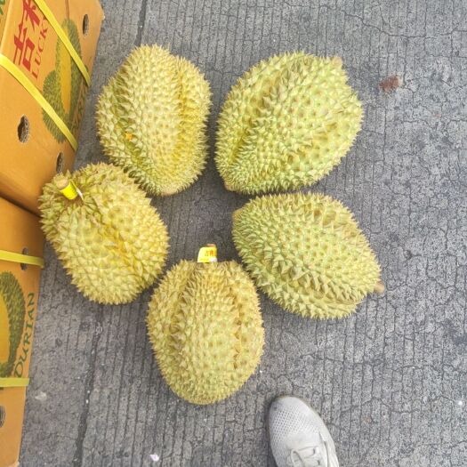 广州泰国金枕榴莲，品质好货