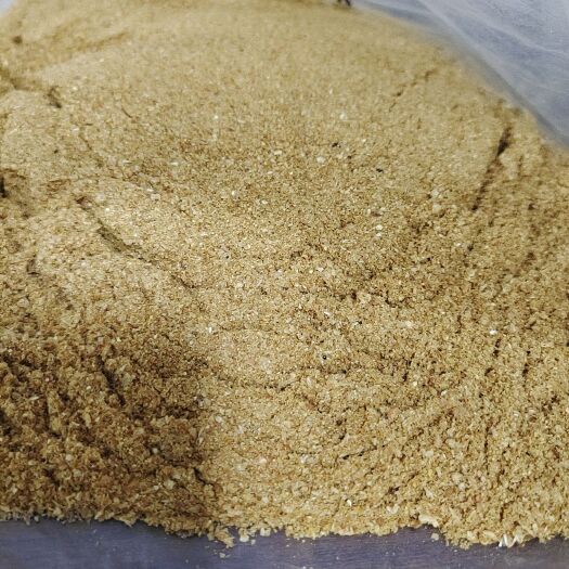 正定县玉米酒糟 DDGS