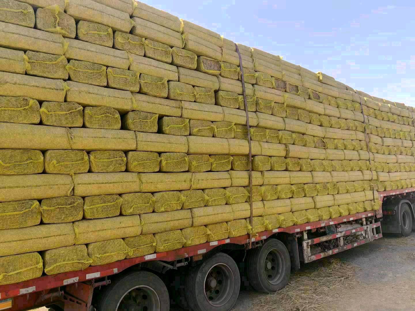 小麦，玉米秸秆 原草， 优貭揉丝除尘风选麦秸玉米草料！