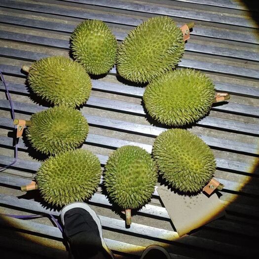 南宁榴莲