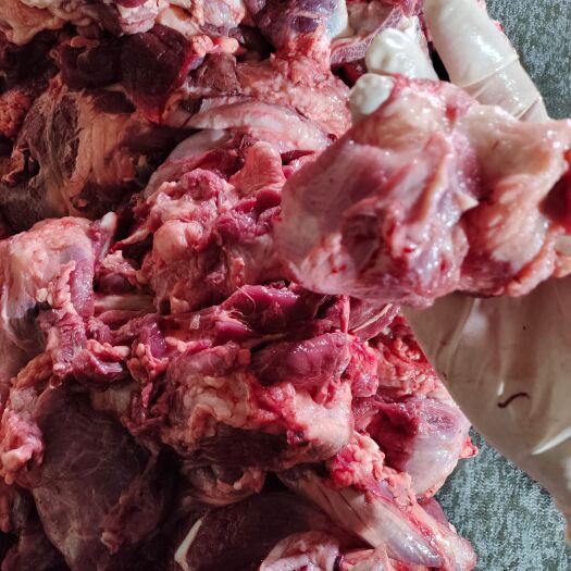 文水县牛肉精修小块牛肉货源充足量大从优保质保量精修原切的纯干货国产