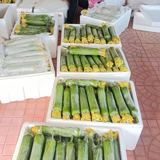 博兴县肉丝瓜