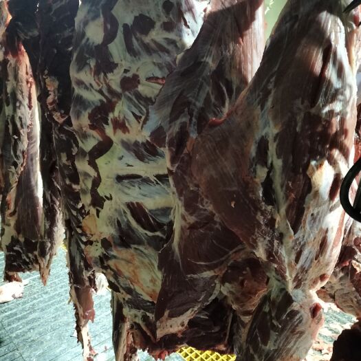 常州自产自销鲜黄牛肉
