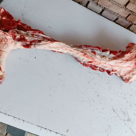 张家口不剃肉羊蝎子