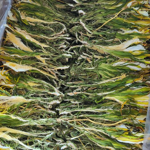 云浮剑花、火龙果花