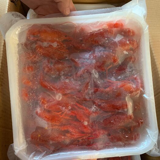 潜江市潜江清水小龙虾