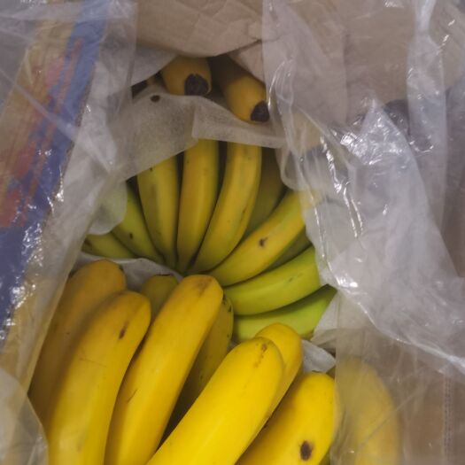 兴义市精品香蕉