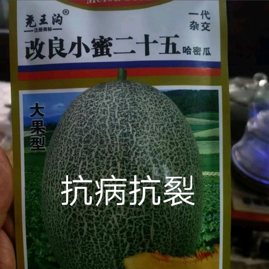 扶沟县改良小蜜25耐裂抗病大果口感松脆易坐果单果7斤果肉橘红含糖量