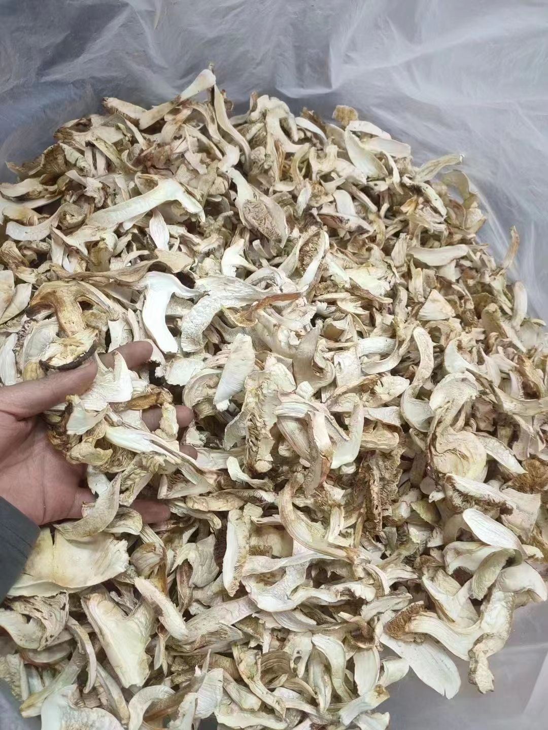 云南松茸干片，规格在9-14CM，味道很浓