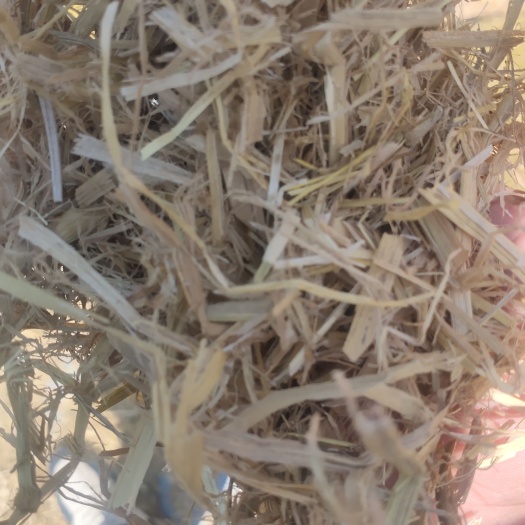 天津小包网袋铡段稻草 现货
