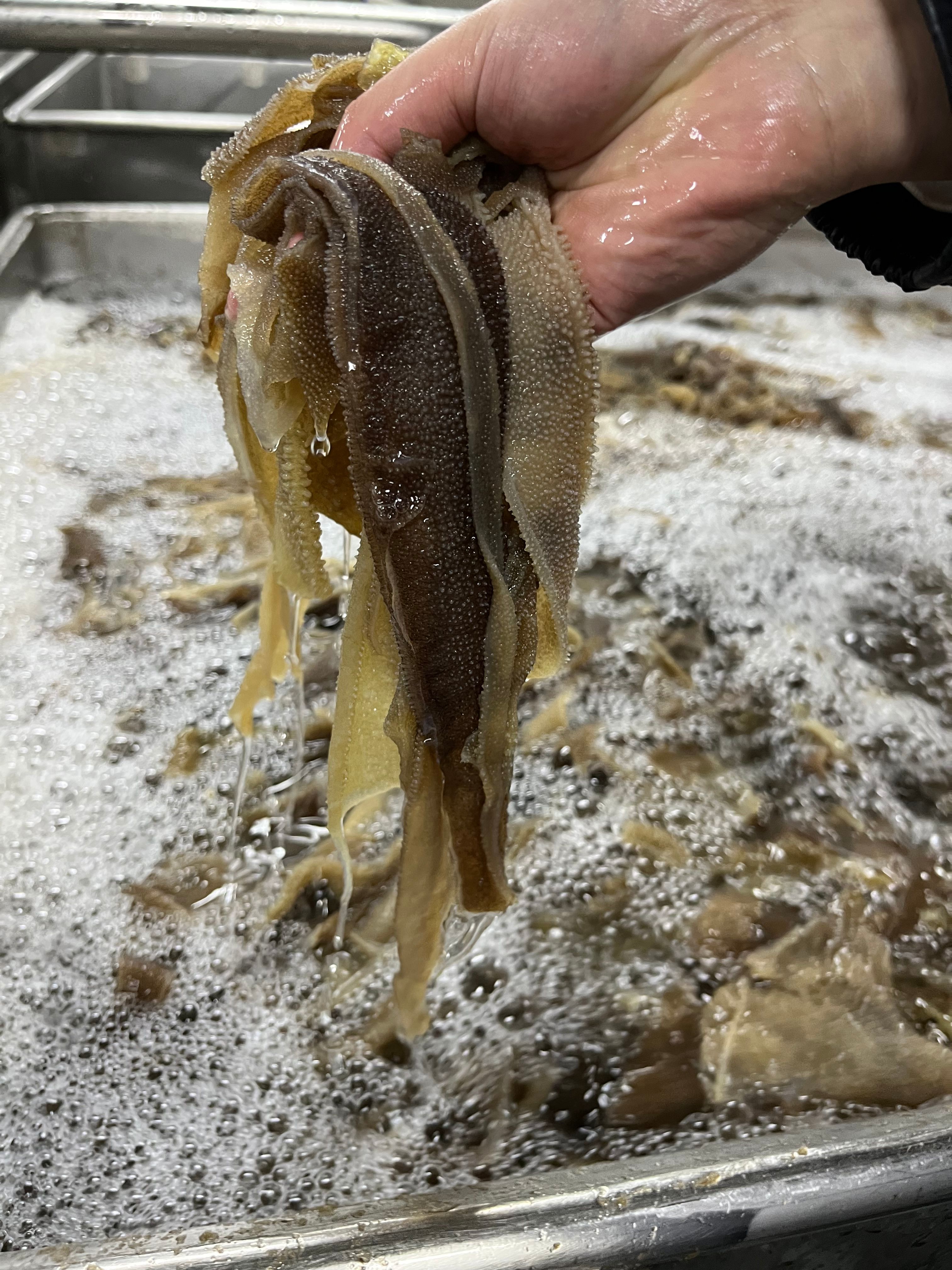 毛肚 叶片 千层 个子 牛百叶 底板丝等牛副 价格便宜