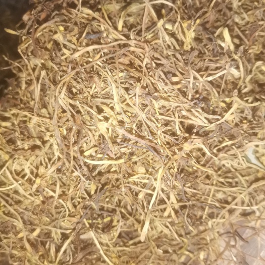 南江县无硫药银花干花