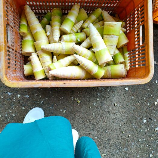 英德市刚出新品，自家工厂源材料直接对应厂家
