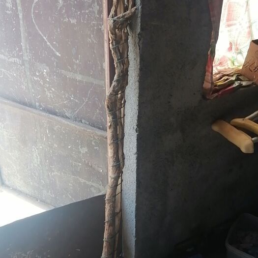 浑源县山西浑源特大黄芪王