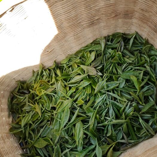 平利县高山绿茶   今年新茶，安康富硒茶生态茶山茶农自销