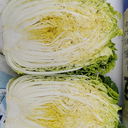 永宁县宁夏沙地黄心大白菜，无烧心，无烂根，无虫眼，
