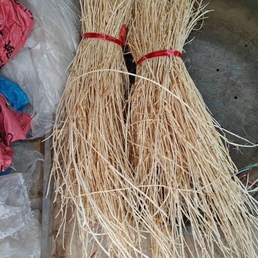 罗定市罗定白茅根