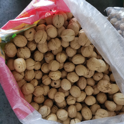 沧县新疆核桃批发，纸皮核桃，剥皮核桃