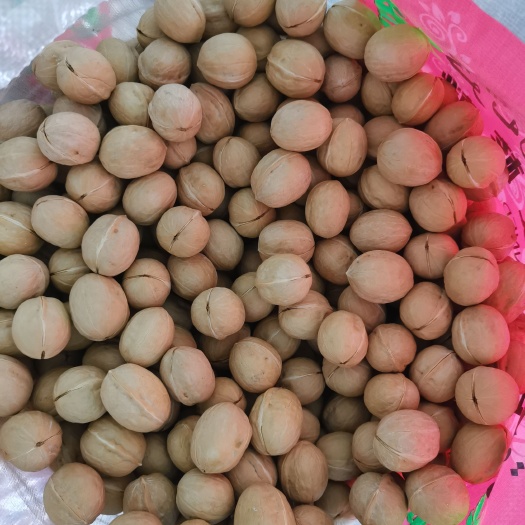 沧县新疆核桃批发，纸皮核桃薄皮核桃