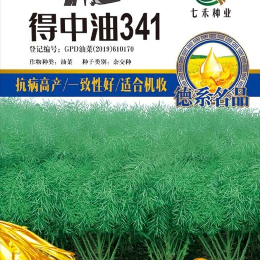 七禾杂交德系油菜种子得中油341/高抗病高出油率产量高