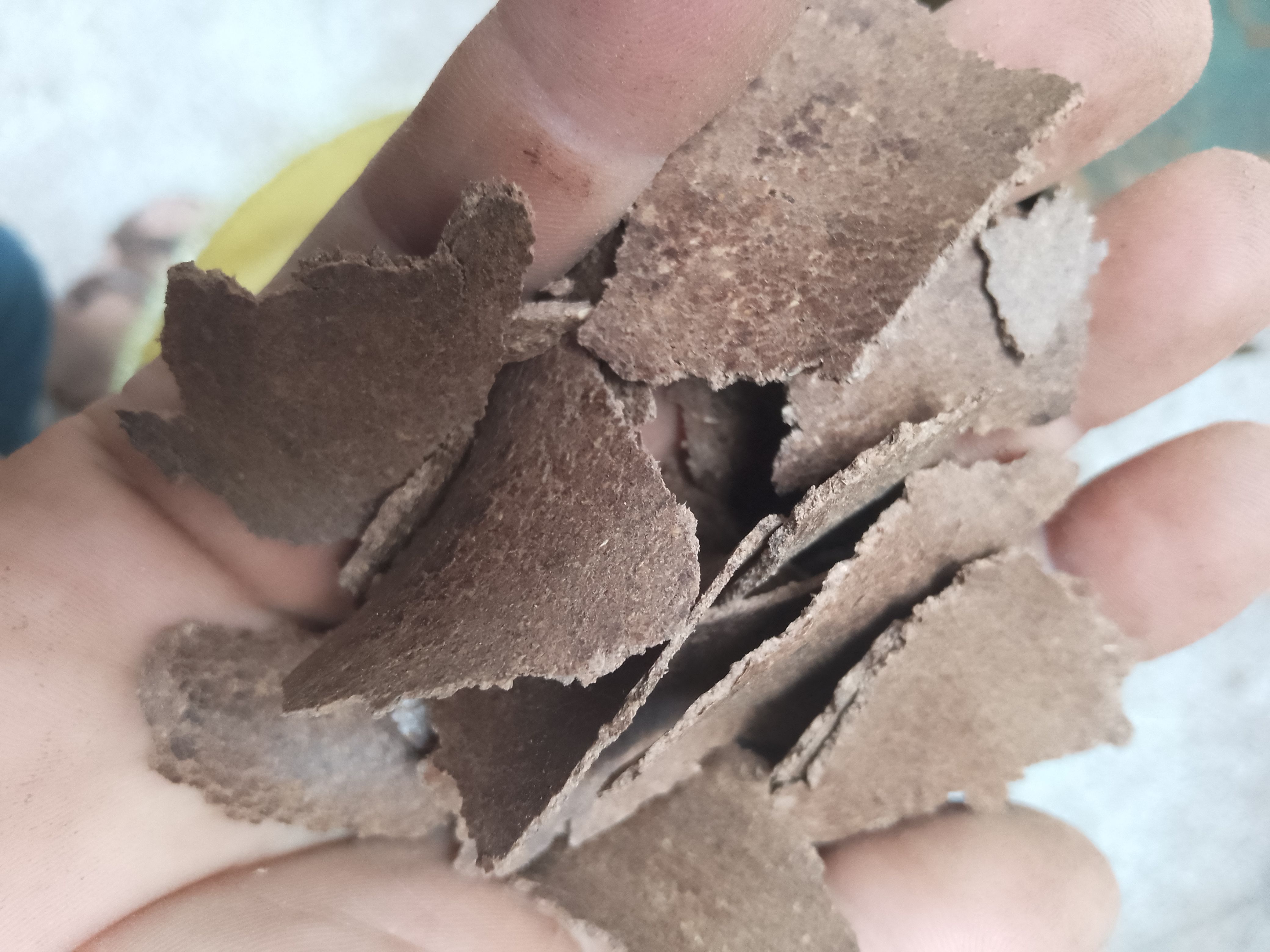 带壳花生枯 花生麸 花生饼 二级花生麸 可做果肥有机肥