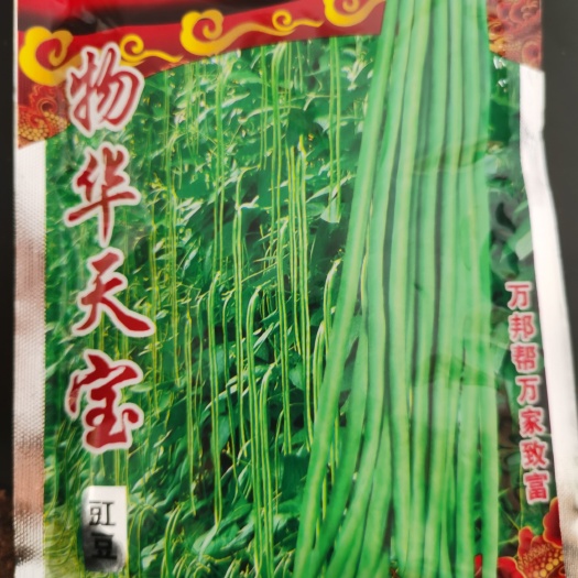南阳油豆角种子 物华天宝 小叶翠柳东方龙条豆角种子