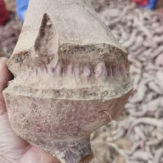 茂名一点红冰淇淋牛薯