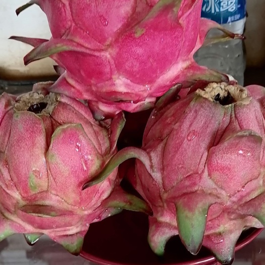 红心火龙果